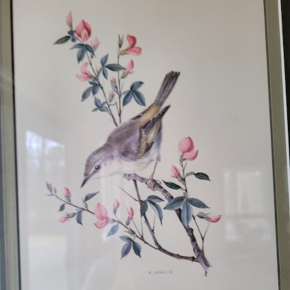 A. Marlin Bird Prints - Picture 4 of 14